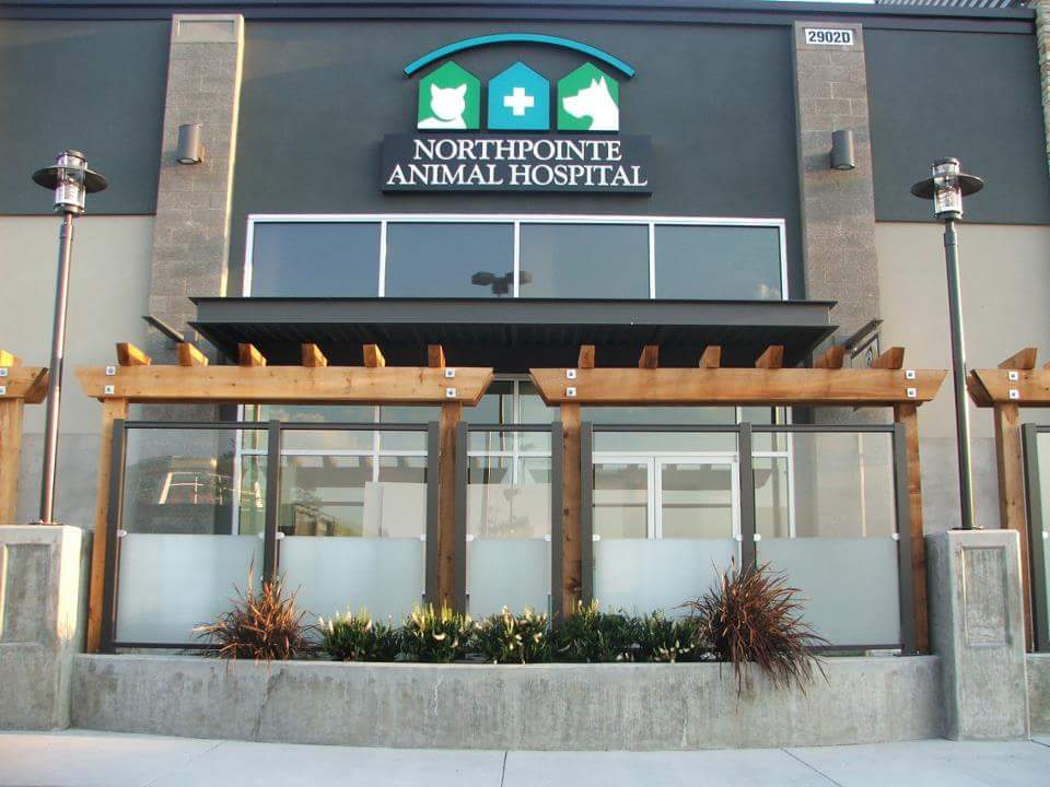 Northpointe Animal Hospital