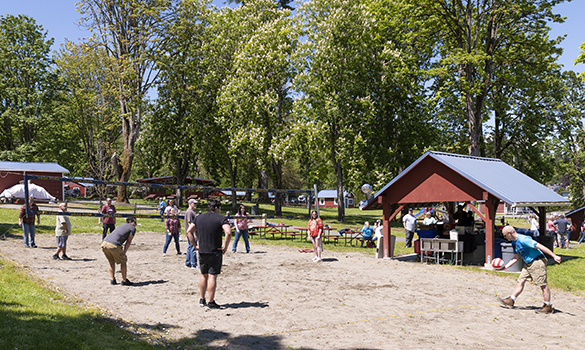 aldrich_picnic2022-volleyball.jpg