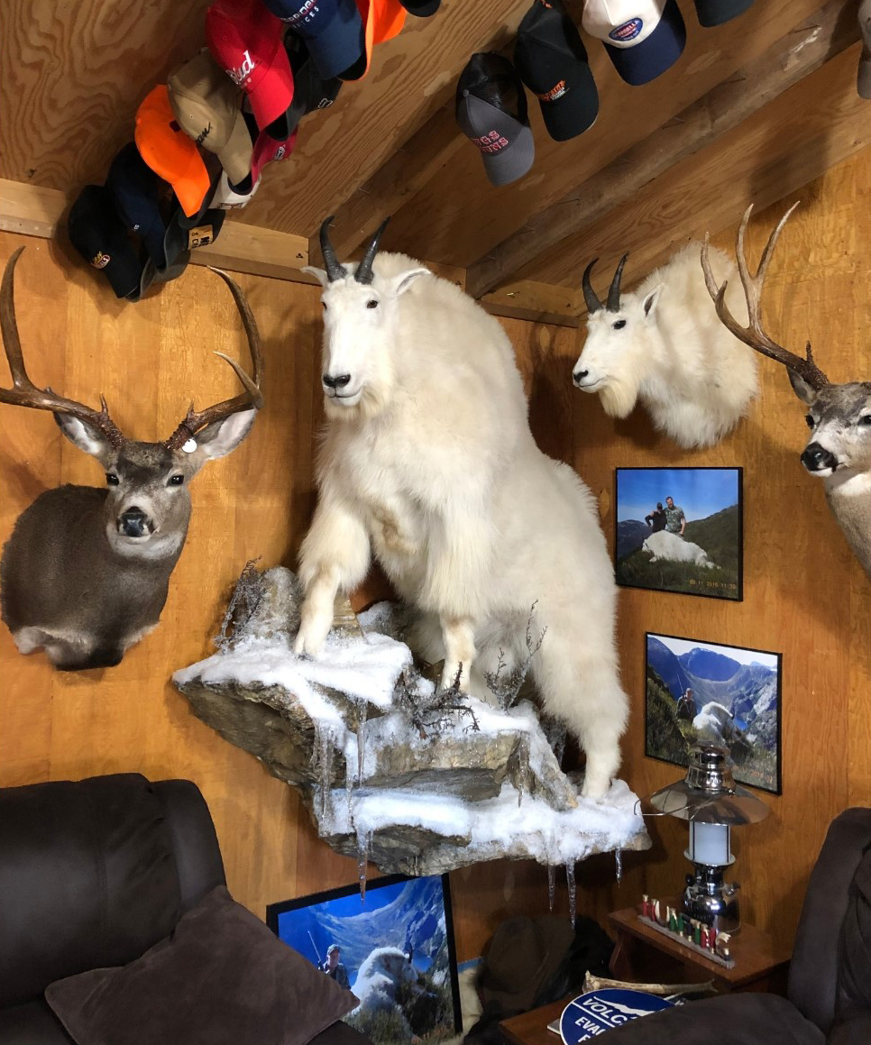 trophies-in-the-buckroom.jpg